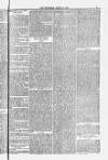Blandford and Wimborne Telegram Friday 18 April 1884 Page 5
