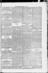 Blandford and Wimborne Telegram Friday 18 April 1884 Page 7