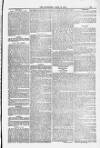 Blandford and Wimborne Telegram Friday 18 April 1884 Page 13