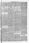 Blandford and Wimborne Telegram Friday 25 April 1884 Page 5