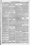 Blandford and Wimborne Telegram Friday 25 April 1884 Page 13