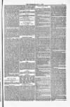 Blandford and Wimborne Telegram Friday 09 May 1884 Page 7