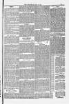 Blandford and Wimborne Telegram Friday 09 May 1884 Page 11