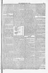 Blandford and Wimborne Telegram Friday 09 May 1884 Page 13