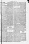 Blandford and Wimborne Telegram Friday 06 June 1884 Page 5