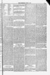 Blandford and Wimborne Telegram Friday 06 June 1884 Page 7