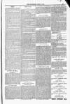 Blandford and Wimborne Telegram Friday 06 June 1884 Page 11