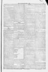 Blandford and Wimborne Telegram Friday 06 June 1884 Page 13