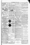 Blandford and Wimborne Telegram Friday 06 June 1884 Page 15