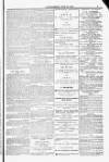 Blandford and Wimborne Telegram Friday 13 June 1884 Page 9