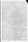 Blandford and Wimborne Telegram Friday 27 June 1884 Page 13