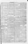 Blandford and Wimborne Telegram Friday 04 July 1884 Page 5