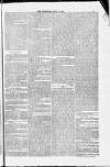Blandford and Wimborne Telegram Friday 04 July 1884 Page 7