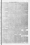 Blandford and Wimborne Telegram Friday 05 September 1884 Page 5