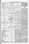 Blandford and Wimborne Telegram Friday 05 September 1884 Page 11