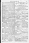 Blandford and Wimborne Telegram Friday 05 September 1884 Page 13
