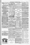 Blandford and Wimborne Telegram Friday 05 September 1884 Page 15