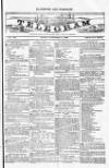Blandford and Wimborne Telegram Friday 12 September 1884 Page 1