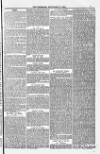 Blandford and Wimborne Telegram Friday 12 September 1884 Page 7