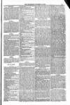 Blandford and Wimborne Telegram Friday 10 October 1884 Page 13