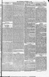 Blandford and Wimborne Telegram Friday 24 October 1884 Page 5