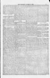 Blandford and Wimborne Telegram Friday 24 October 1884 Page 13