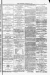 Blandford and Wimborne Telegram Friday 31 October 1884 Page 3