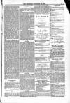 Blandford and Wimborne Telegram Friday 28 November 1884 Page 9