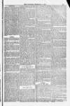Blandford and Wimborne Telegram Friday 05 December 1884 Page 13