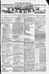 Blandford and Wimborne Telegram Friday 12 December 1884 Page 1