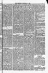 Blandford and Wimborne Telegram Friday 12 December 1884 Page 5