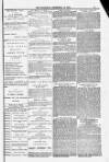 Blandford and Wimborne Telegram Friday 19 December 1884 Page 11