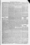 Blandford and Wimborne Telegram Friday 19 December 1884 Page 13