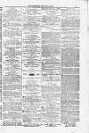 Blandford and Wimborne Telegram Friday 02 January 1885 Page 3