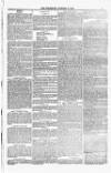 Blandford and Wimborne Telegram Friday 02 January 1885 Page 7