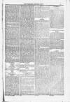 Blandford and Wimborne Telegram Friday 02 January 1885 Page 13