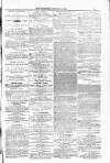 Blandford and Wimborne Telegram Friday 09 January 1885 Page 3