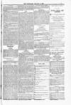 Blandford and Wimborne Telegram Friday 09 January 1885 Page 9