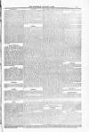 Blandford and Wimborne Telegram Friday 09 January 1885 Page 13
