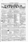 Blandford and Wimborne Telegram Friday 16 January 1885 Page 1