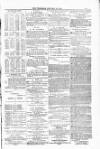 Blandford and Wimborne Telegram Friday 16 January 1885 Page 3