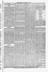 Blandford and Wimborne Telegram Friday 16 January 1885 Page 5