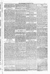 Blandford and Wimborne Telegram Friday 16 January 1885 Page 7