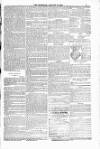 Blandford and Wimborne Telegram Friday 16 January 1885 Page 9