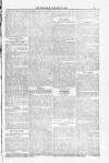 Blandford and Wimborne Telegram Friday 16 January 1885 Page 13