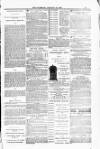 Blandford and Wimborne Telegram Friday 16 January 1885 Page 15