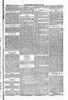 Blandford and Wimborne Telegram Friday 23 January 1885 Page 5