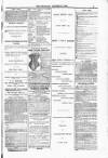 Blandford and Wimborne Telegram Friday 23 January 1885 Page 9