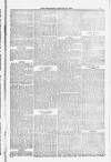 Blandford and Wimborne Telegram Friday 23 January 1885 Page 13