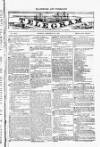 Blandford and Wimborne Telegram Friday 30 January 1885 Page 1